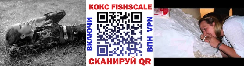 где найти   Будённовск  Кокаин FishScale 