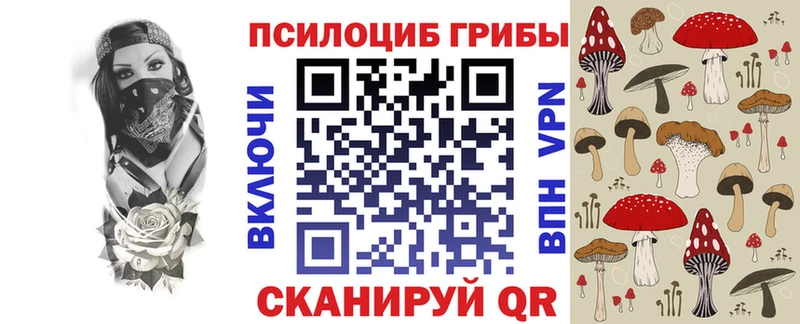 купить наркоту  это формула  blacksprut рабочий сайт  Галлюциногенные грибы Psilocybe  Будённовск 